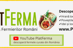 YouTube PlatFerma (1)
