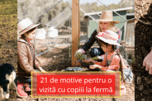 21 de motive pentru o vizită cu copiii la fermă